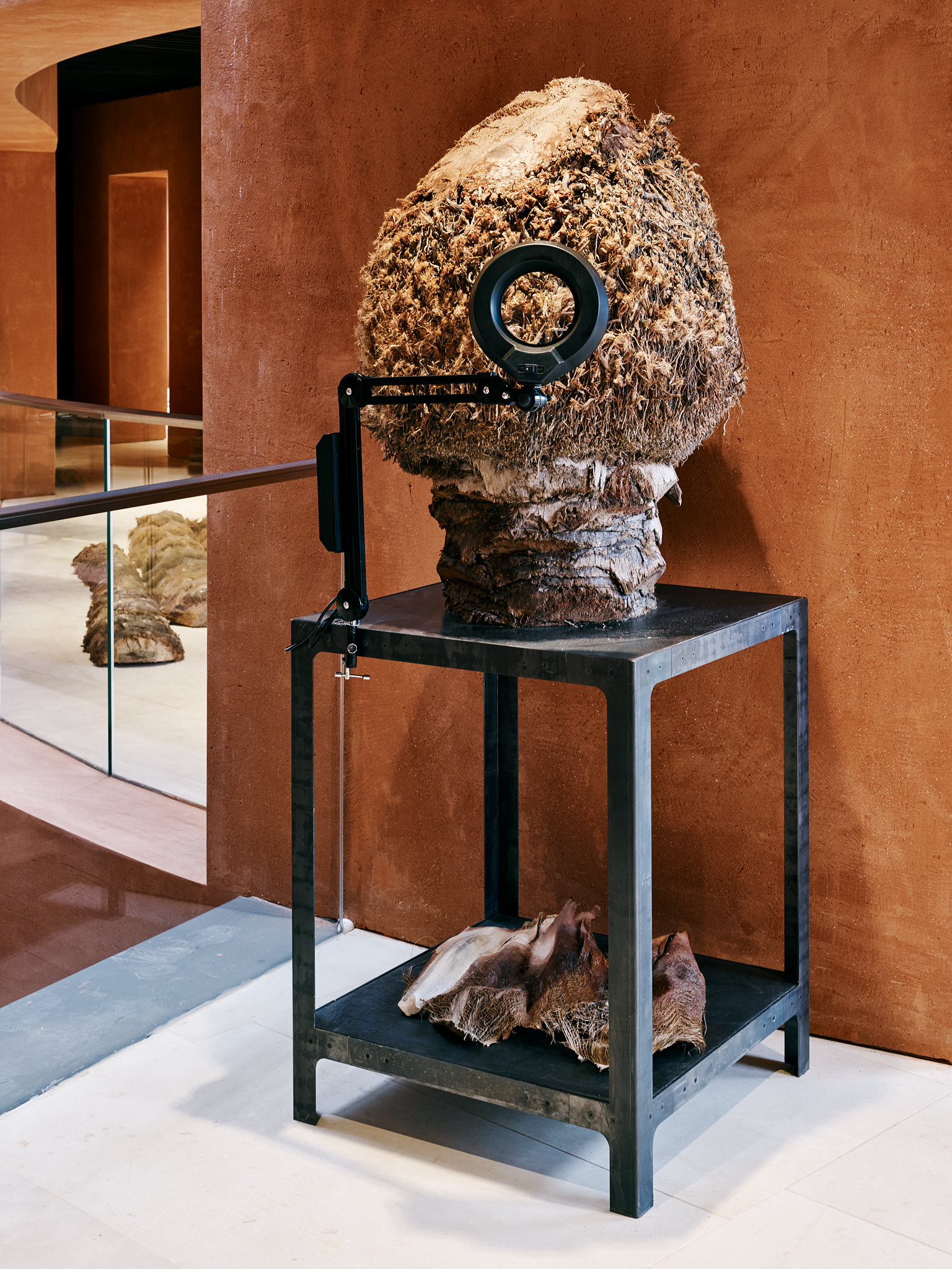 E15547 Alpa 050385 SCREEN